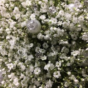 Meet your Posher, Alexia